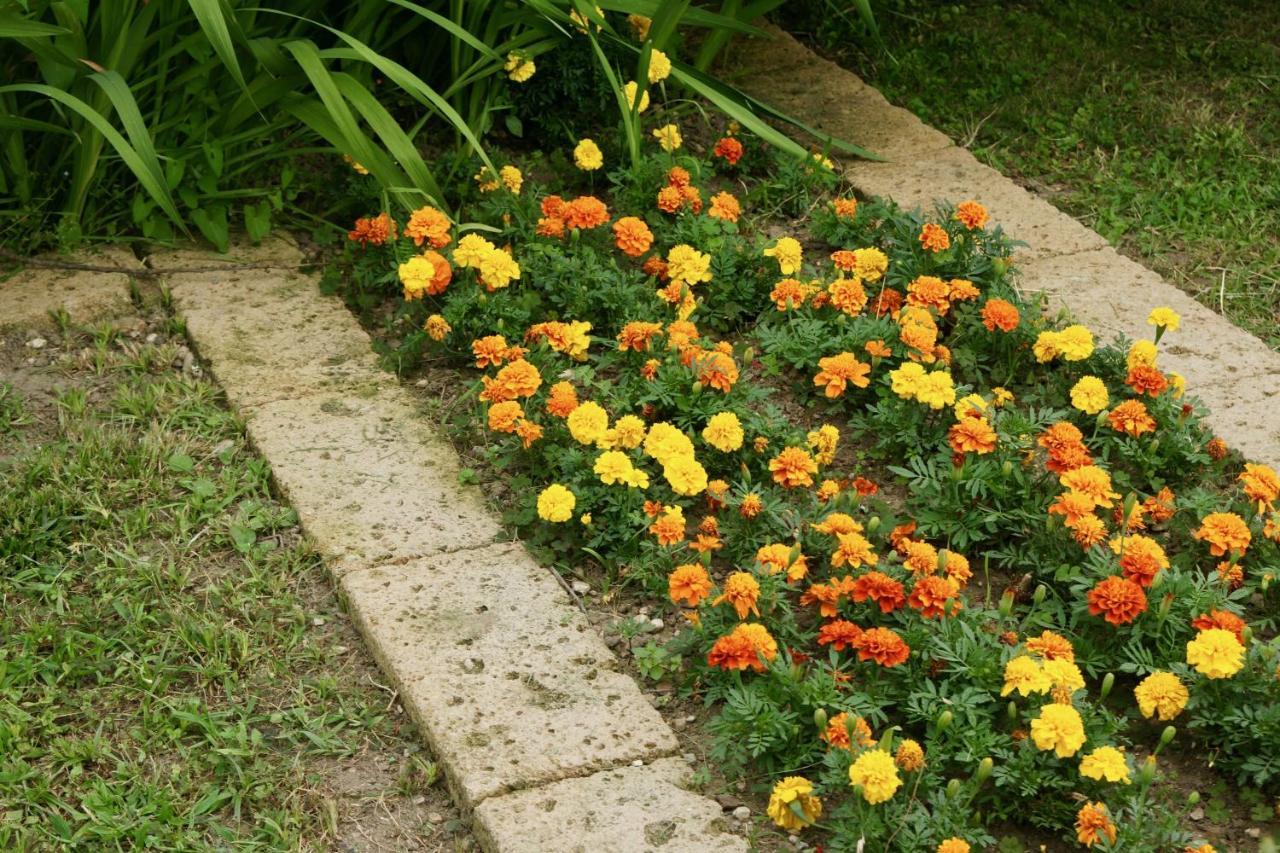 B&B The Secret Garden Buia Bagian luar foto